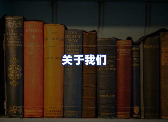 专业团队
